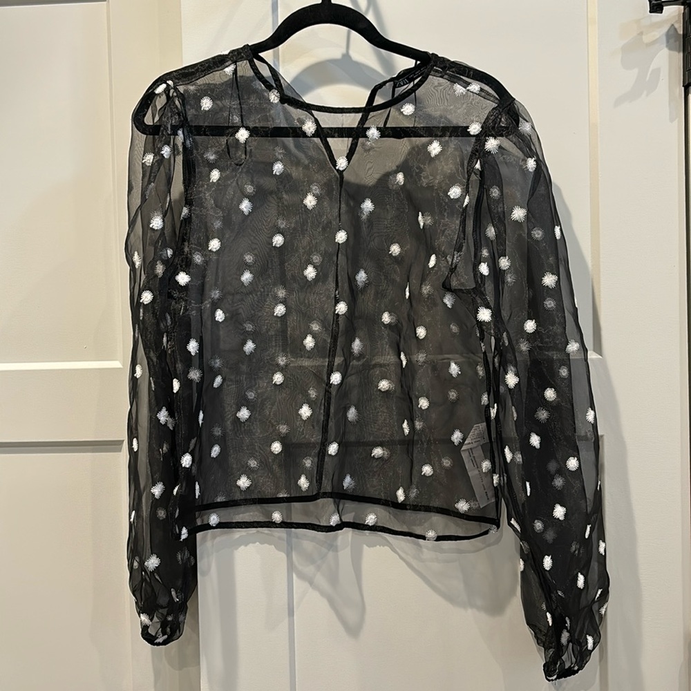 Zara Organza Top
